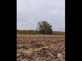 В Аксайском районе обезвредили авиационную бомбу со времён Великой Отечественной войны. Её нашли в поле рядом с хутором... (видео)