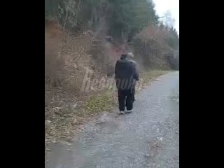 Школьницы ради хайпа избили пенсионера в Свердловской области — полиция ищет участниц    В Каменске-Уральском две... (видео)