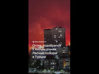 Сильнейшие лесные пожары охватили Турцию из аномальной жары до +50 °C.    В Бурсе огонь уже вплотную подобрался к жилым... (видео)
