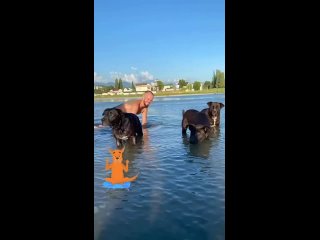 Почему он а не я😭 - Polina Svoya