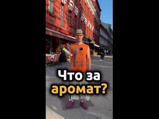 Жители Москвы вновь стали участниками необычного эксперимента.  На этот раз участники угадывали аромат освежителя... (видео)