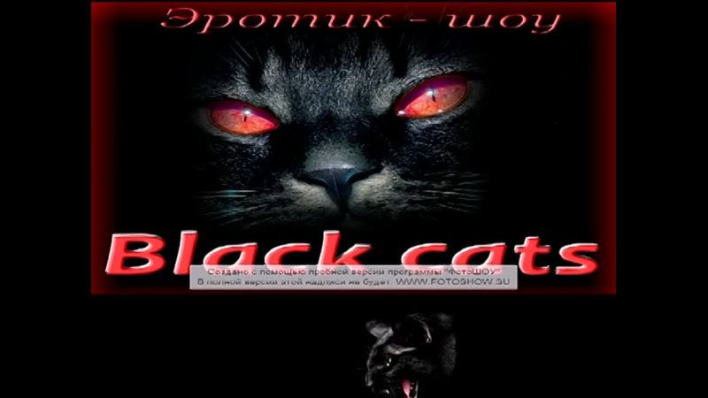Эротик - шоу "Black cats" Police