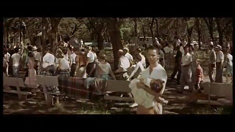 Picnic (1955) 7/10/14