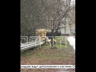 На автозаводе неадекват выскакивает на тротуар перед школой и мастурбирует.  25-летний мужчина делает это прямо на... (видео)