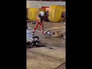 Да жууууууть….😱😱😱😱😱 Смотреть и то страшно… - Инна Инесса