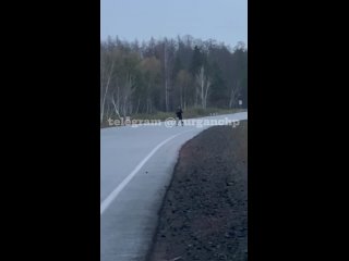 Очень жаль девушку водителя. Ко мне он тоже выскочил на дорогу, я успела затормозить. Очень страшно было, и шок и... - Анна Залесова