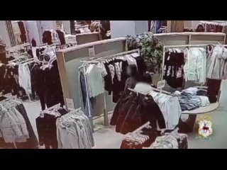 У 28-летней карманницы, промышлявшей в нижегородских торговых центрах, нашли 12 украденных телефонов.  Девушка ходила... (видео)
