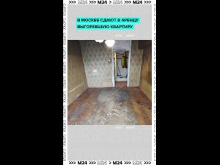 «Уютную трёшку» после пожара сдают за 77 тысяч рублей около МЦК «Крымская».    Кстати, хозяин уверяет, что достаточно... (видео)