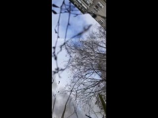 Курганец, спасший мужчину из загоревшейся машины, рассказал подробности    Курганец, спасший мужчину из горящей «Нивы»,... (видео)