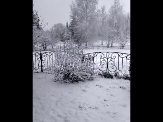 За ночь несколько регионов России укрылись снежной простыней    Несколько областей «обелились» ночью после выпавшего на... (видео)