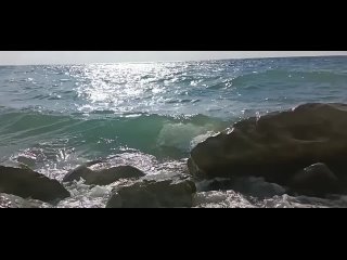 🌊♾️♥️ (видео)