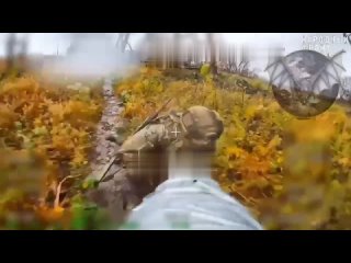 🔥 Десантники уничтожает нацистов в Сумской области    ▪Разведчики ВДВ сначала охотятся на украинских нацистов и... (видео)