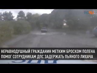 Неравнодушный гражданин метким броском полена помог сотрудникам ДПС задержать пьяного лихача