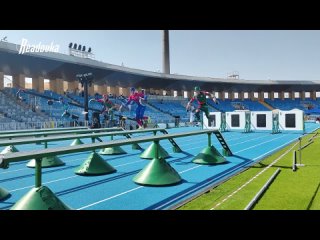 Золото и серебро завоевали российские спасатели на чемпионате в Эр-Рияде    Мужская и женская сборные МЧС заняли первое... (видео)