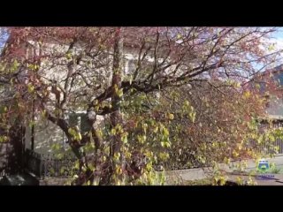 💰Бомж-меценат в Тюмени: бездомный украл сумку с деньгами и раздал друзьям  Посреди дня бездомный вломился в частный... (видео)