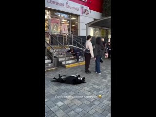 Им реально пофиг даже на колбасу😂 Недавно видела ещё собаку во дворе которая спит,а рядом с ней кошки бегают - ポリー イワノワ