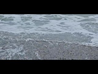 Погода на море сегодня.  Облачно, небольшие дожди, температура воздуха днем до 18 градусов тепла, ночью до 14,... (видео)