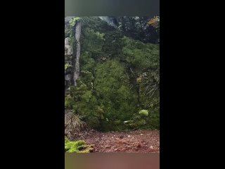 Удивительный процесс производства моющего средства на фабрике 🧼🏭 (видео)