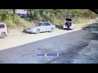 🤡Жадность фраера сгубила  Мужчина выкинул покрышки в кусты, сэкономив всего 300 рублей на утилизацию.   Водителя очень... (видео)