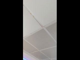 Были сегодня в аквапарке АкваЛоо. Впечатления ужасные, никому не советую. Персонал грубит - на кассе при вопросе о... (видео)