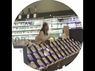23-летняя девушка в Новосибирске пришла в гипермаркет электроники и требовала бесплатно выдать ей iPhone  После... (видео)