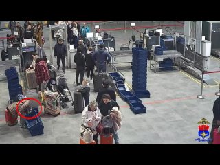 В аэропорту Пулково раскрыта кража мобильного телефона.   63-летний петербуржец во время прохождения предварительного... (видео)