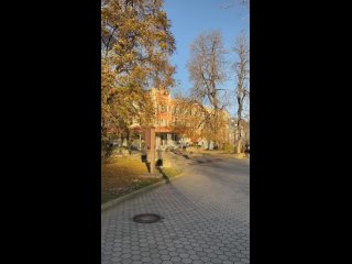 Осеннее утро в Кисловодске 🍂 (видео)
