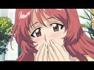 Aniyome wa Ijippari - 1 (OVA)