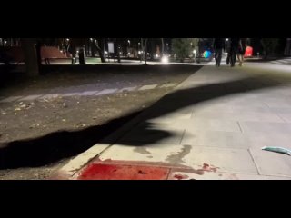 Ответят за всё, гады - Анатолий Родионов