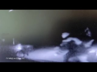 В Ленобласти в деревне Горка полицейские остановили выстрелами ВАЗ-2106, который отказался остановиться и прибавил... (видео)