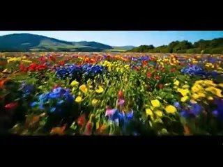 Сергей Есенин - Не жалею, не зову, не плачу. Песня и клип на стихотворение Сергея Есенина.mp4