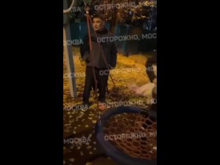 "Я купила здесь квартиру на свои деньги и моя собака будет гулять везде!"  В Москве у собачницы случилась истерика и... (видео)