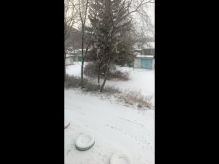 ⛄️ В Приморье в некоторых районах этой ночью прошёл настоящий снегопад.  Первые по-настоящему зимние пейзажи можно... (видео)