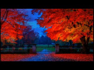 Песня 2025г. Сергей Есенин — Закружилась листва золотая.mp4