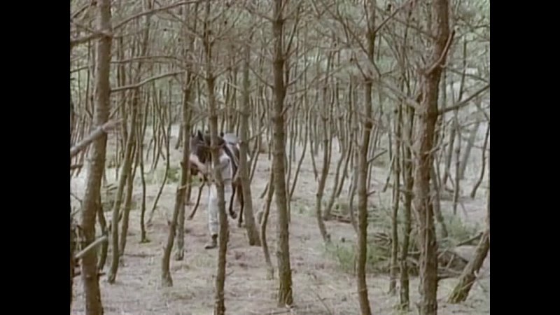 Конь, женщина и пёс (1990)