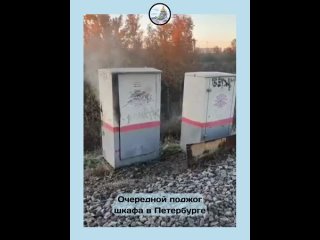 Молодая пара поверила незнакомцу и получила террористическую статью  Транспортная полиция отчиталась о задержании в... (видео)