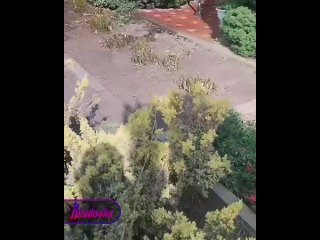 Пал травы в Ростовской области привел к пожару в ближайшем селе — из-за огня перекрыта часть дороги из Ростова до Азова... (видео)