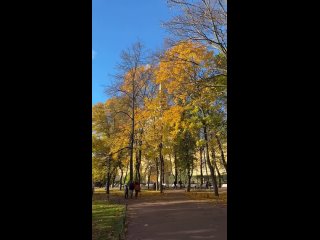 Осень в Александровском саду.  📸 marina_zippy (видео)