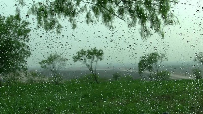 Мелкий дождь сонно. Дождь. Летний ливень. Дождь картинки. Лето дождь.