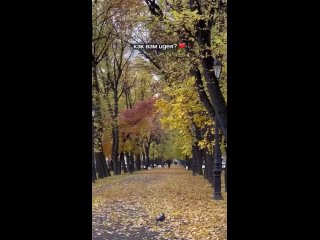 Девушка купила конфеты «Великий Санкт-Петербург» и решила пройтись по местам, которые были изображены на обёртках. На... (видео)