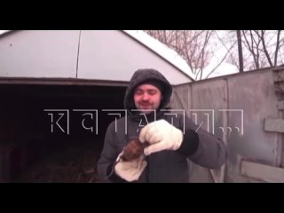 Михаил Помелов, по вине которого взорвалась многоэтажка на улице Фучика в Нижнем Новгороде, получил семь лет колонии... (видео)