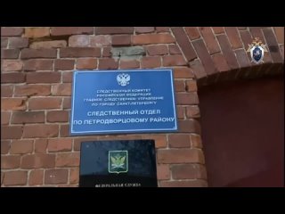 В Старом Петергофе задержали мужчину, который минувшей ночью бил зеркала и жег покрышки в многоэтажке.   В первом часу... (видео)