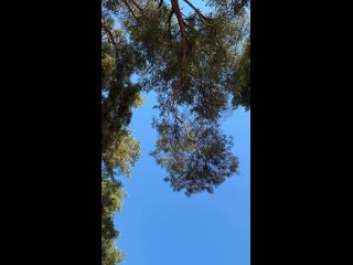 Теплый сентябрь на Финском заливе.  Видео: marina_zippy (видео)