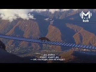 "Она не заплатила за проходку, да!"  Сочинская лиса провела мастер-класс по бесстрашию: без страховки прошуршала по... (видео)