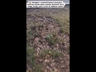 Новосибирске мать катала коляску по оживленной автодороге на улице Титова.    Видео с «родителем года» опубликовали в... (видео)