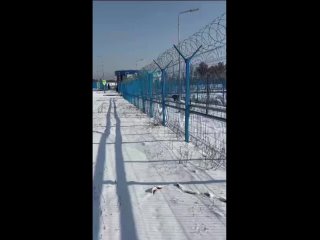 🧸 Уставший медведь забрел на территорию космодрома «Восточный» в Амурской области    Косолапый смог попасть на объект,... (видео)
