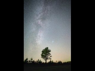 В Ленобласти засняли Млечный Путь.  📸 Астрофотоболото (видео)