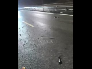 ❗️Два человека погибли в ДТП на М-12. Авария произошла вчера вечером в Ардатовском районе.    59-летний водитель фуры... (видео)