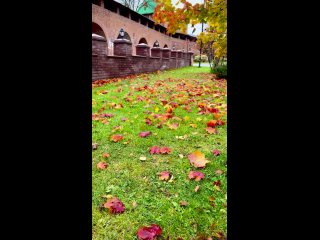 автор слов и 📸 Гром Ксения #gromspoetry (видео)