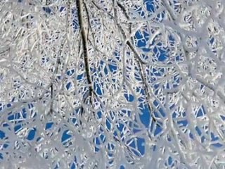 зимняя  мелодия